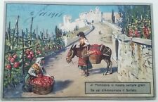 CARTOLINA CAMERINO 1918 POMODORO AGRICOLTURA AMMONIACA VERONA PUBBLICITARIA 
