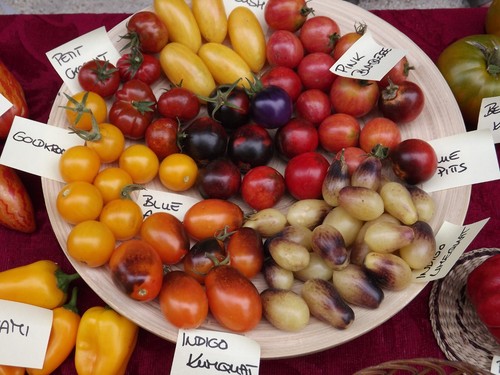 Miscela semi pomodoro - di,
