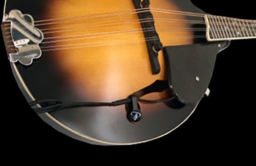Neapolitan mandolin pickup - neapolitan, by