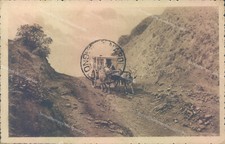 z5 cartolina la sila diligenza 1928 cosenza