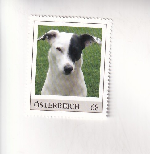 Francobollo austria cani - pm,