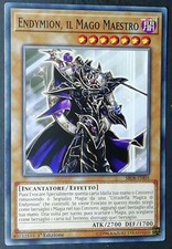 ENDYMION IL MAGO MAESTRO  in
