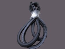Rear Left Entrance Door Gasket