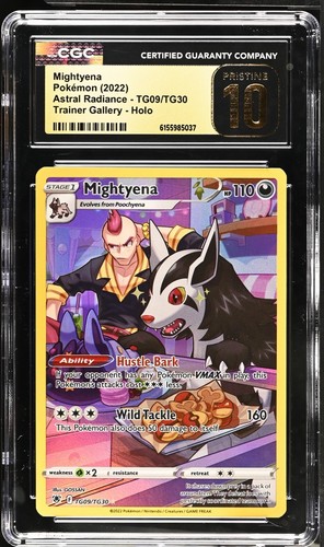 Mightyena tg09 tg30 holo 2022 - mightyena,