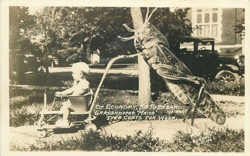 Foto frank conard garden - foto,