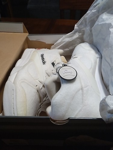 2006 reebok court - victory, pump