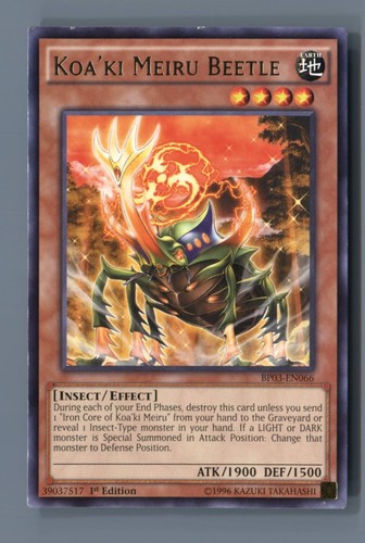 Koa meiru beetle - koa'ki, bp03-en066