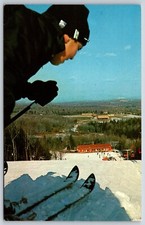 Cartolina The Pines Resort