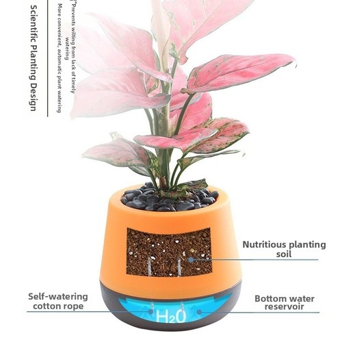 Vaso per piante autoirrigante