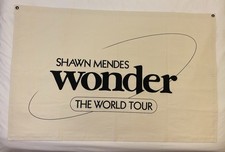 Poster su tela Shawn Mendes