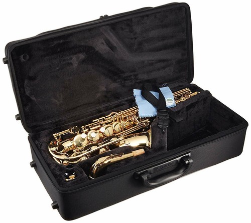 Sassofono contralto standard
