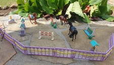 ✅ Set Torneo di Salto