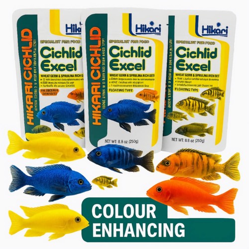 Hikari cichlid excel 250g - cichlid,