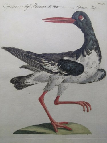 Saverio manetti vanni - manetti,, v.