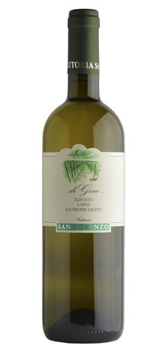 Di gino - 6,