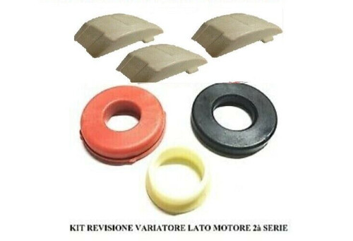 Revisione variatore chatenet - revisione,