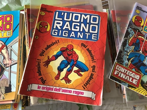 Uomo ragno gigante - ragno,