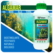 Fitokem | Algamar 1kg  concime