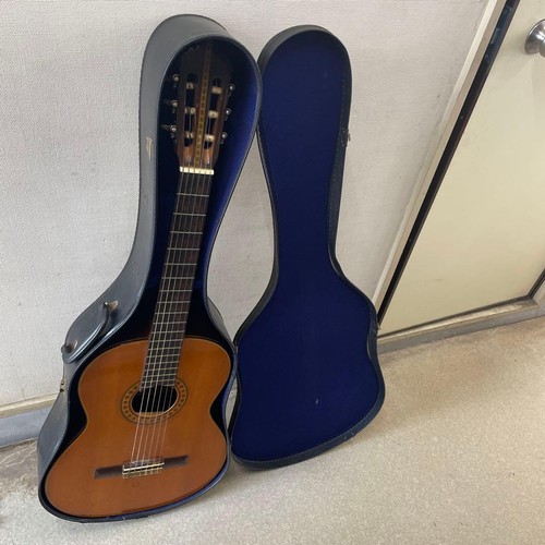 Chitarra classica concerto