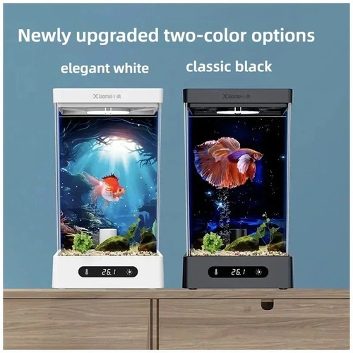 Smart betta acquario dedicato