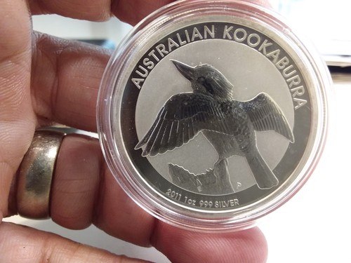 Kookaburra oncia argento - kookaburra,