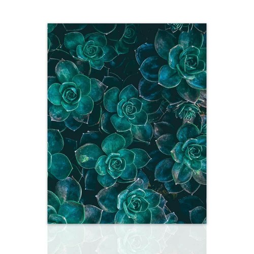 Quadro pianta grassa arredo - quadro,