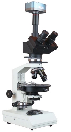 Microscopio polarizzatore