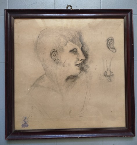 Disegno matita - disegno,