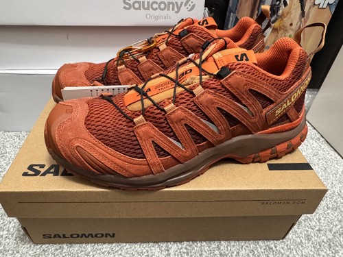 Salomon pro red - 3d, ashes