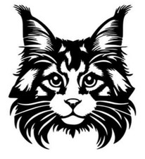 Adesivi auto, sticker, MAINE