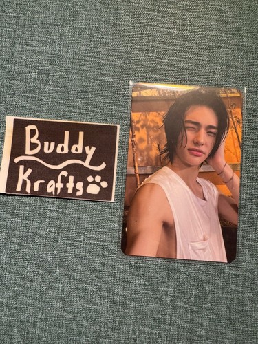 Album fotocartolina stray kids - album,