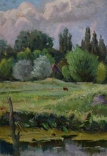 Paesaggio laghetto prato