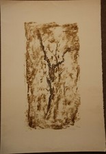 ZUCCHELLI Pierre zuchelli -