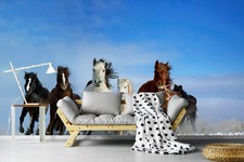 Fotomurale TESSUTO NON TESSUTO