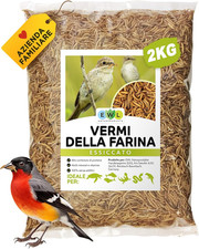 Vermi Della Farina Essiccati 2
