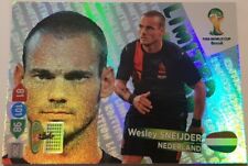 card LIMITED EDITION PANINI