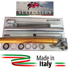 Revisione Forcella Ducati Multistrada 1200 Ohlins Sospensione Per Moto
