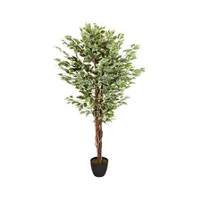 Pianta finta albero decorativo
