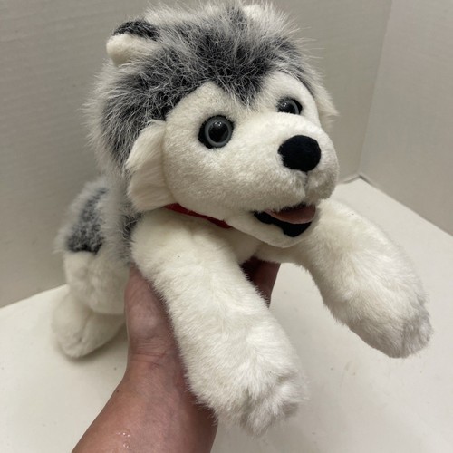 Peluche siberian husky - siberian,