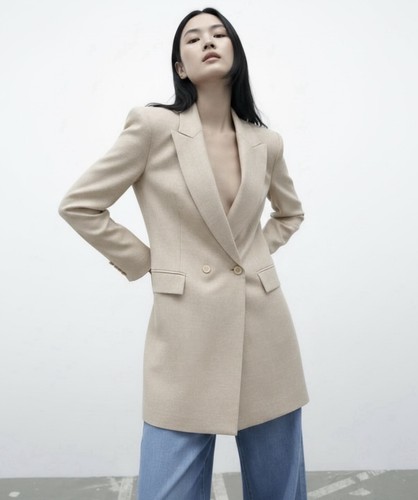 Zara blazer business - zara,