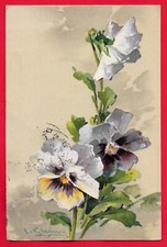 FIORI - VIOLA DEL PENSIERO - CATHARINA KLEIN ILLUSTRATORE
