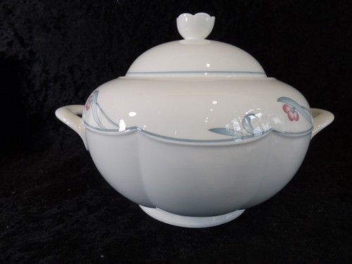 Villeroy boch florina - &,
