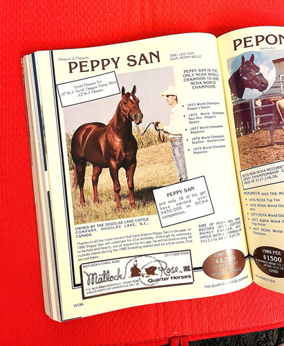 1979 quarter horse - quarter, journal