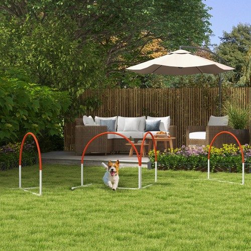 Set attrezzatura agility per - set,