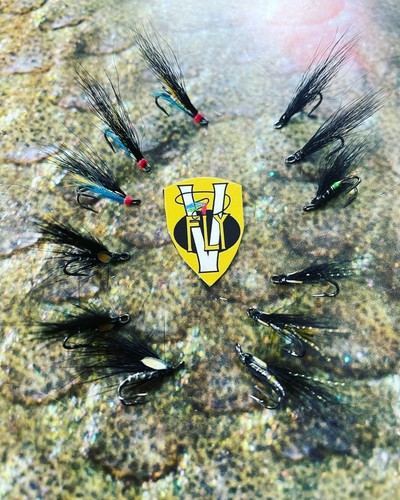 Fly signature islandese - signature,