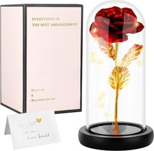 Rosa La Bella e la Bestia