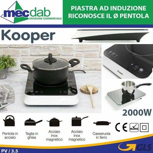 Piastra induzione elettrica - piastra,