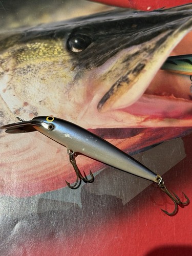 Rapala countdown magnum - countdown,
