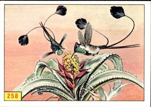 Figurina uccelli panini - uccelli, ed.panini