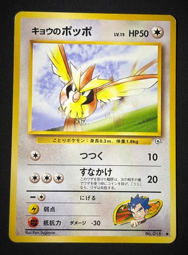 Koga pidgey pokemon sfida - koga's, n.